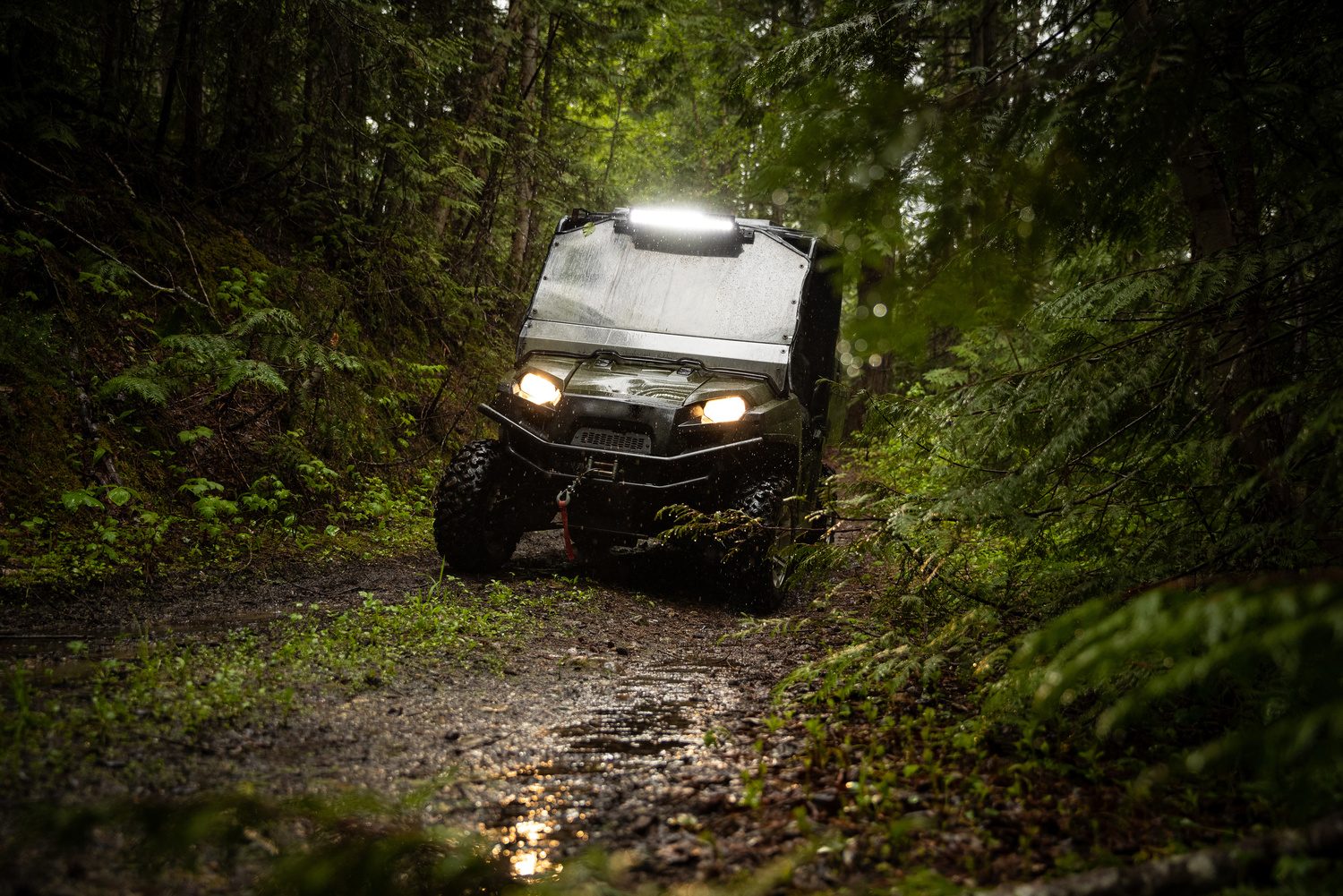 Off-road 4x4 w leśnym terenie
